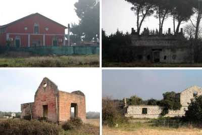 Chiesa, castello, masseria e villa: a due passi da Bariblu c'� l'ex tenuta De Filippis
